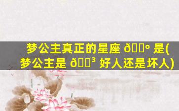 梦公主真正的星座 🌺 是(梦公主是 🌳 好人还是坏人)